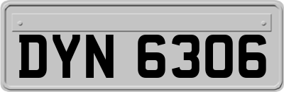 DYN6306