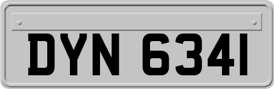 DYN6341