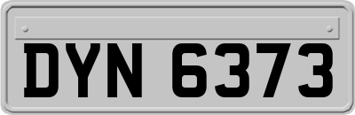 DYN6373