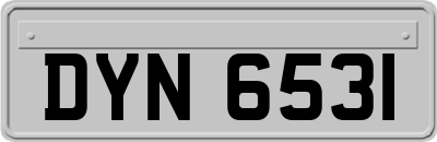 DYN6531
