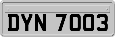 DYN7003