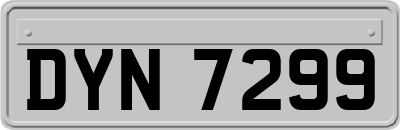 DYN7299