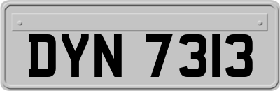 DYN7313