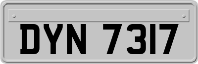 DYN7317