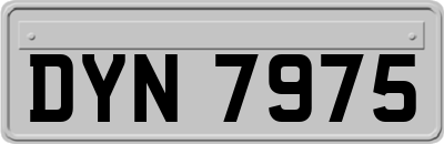 DYN7975