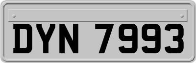 DYN7993