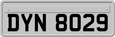DYN8029