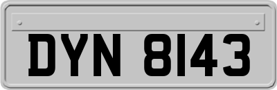 DYN8143