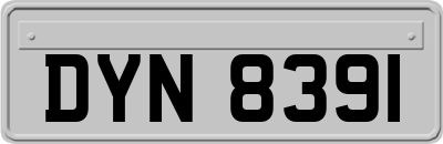 DYN8391