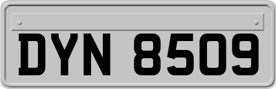DYN8509