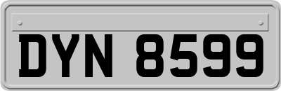 DYN8599