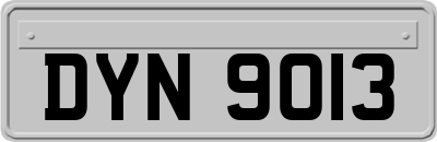 DYN9013