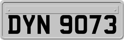 DYN9073