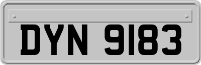 DYN9183