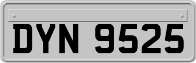 DYN9525
