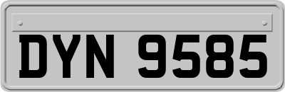 DYN9585