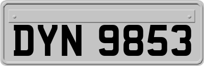 DYN9853