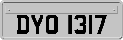 DYO1317