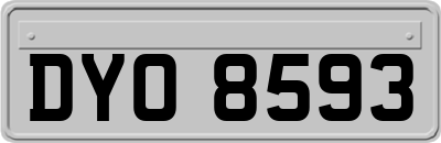 DYO8593