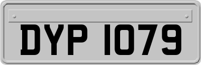 DYP1079