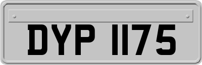 DYP1175