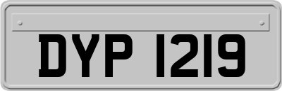 DYP1219