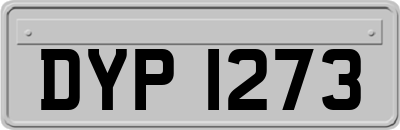 DYP1273