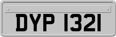 DYP1321