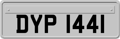 DYP1441