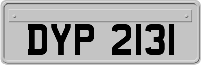 DYP2131