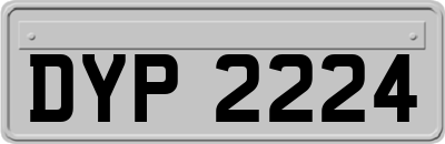 DYP2224