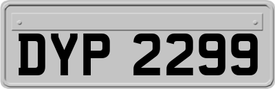 DYP2299