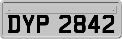 DYP2842
