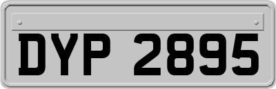 DYP2895