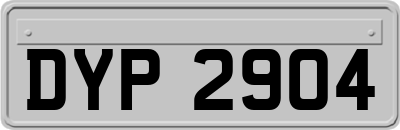 DYP2904