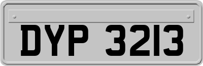 DYP3213