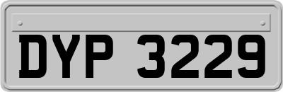 DYP3229