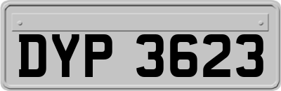 DYP3623