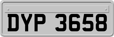 DYP3658