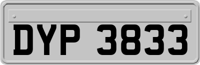 DYP3833