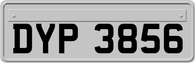DYP3856