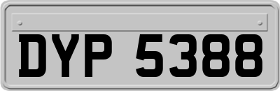 DYP5388