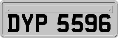 DYP5596