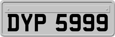 DYP5999