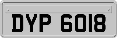 DYP6018