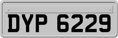 DYP6229