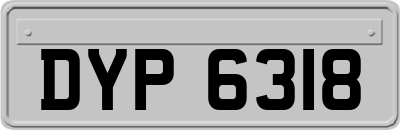DYP6318