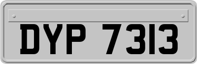 DYP7313