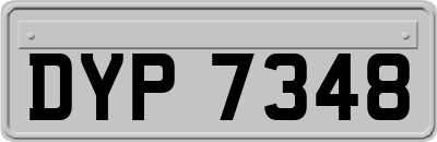 DYP7348