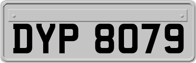DYP8079
